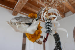 Thêrionousia détail de l'installation de Barbara Leboeuf